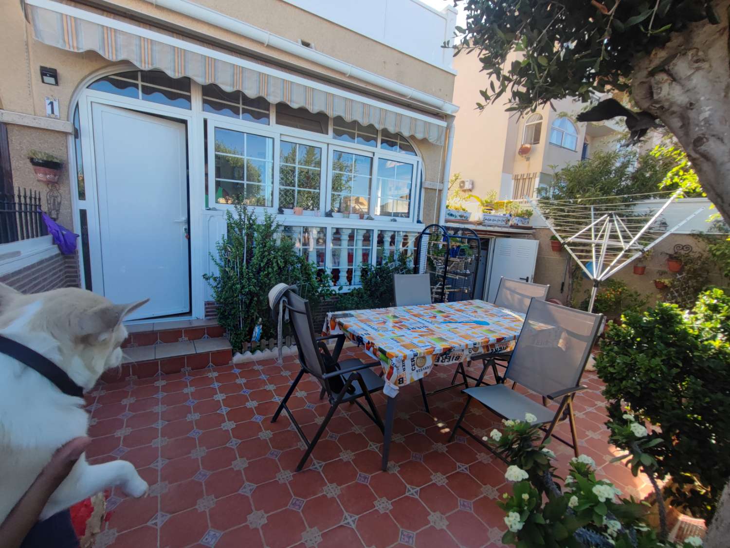 Duplex en vente à Playa Flamenca (Orihuela)