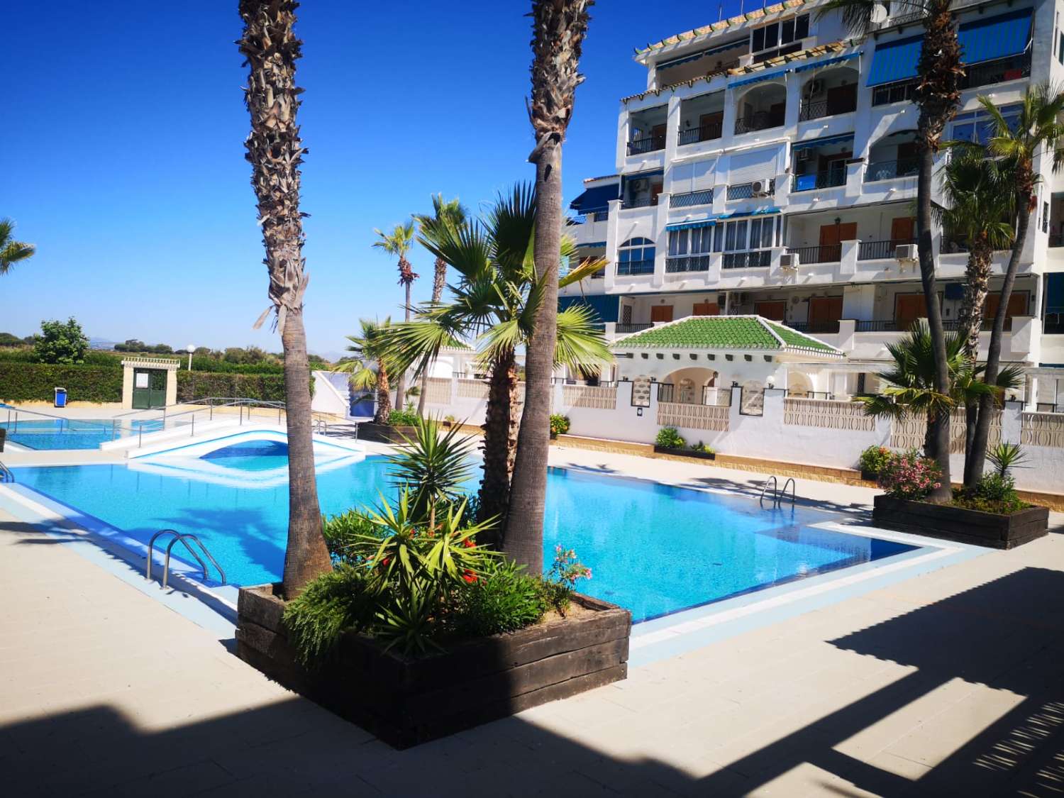 Petit Appartement en location à La Mata (Torrevieja)