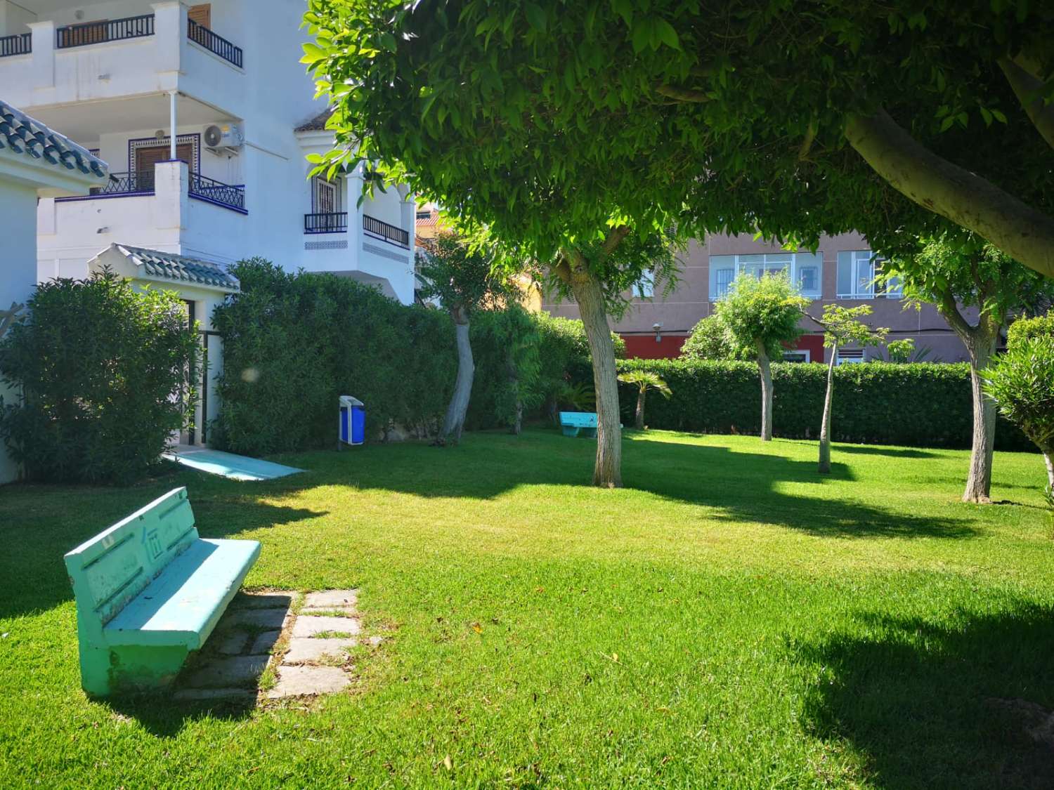 Apartment for rent in La Mata (Torrevieja)