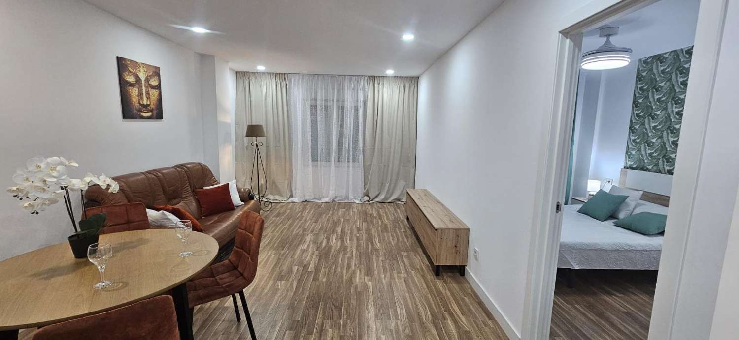 APARTAMENTO COMPLETAMENTE REFORMADO CON PISCINA