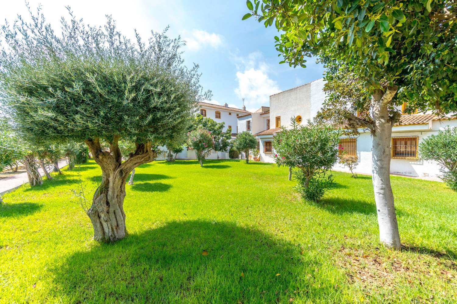 Бунгало в продаже в Los Balcones - Los Altos del Edén (Torrevieja)