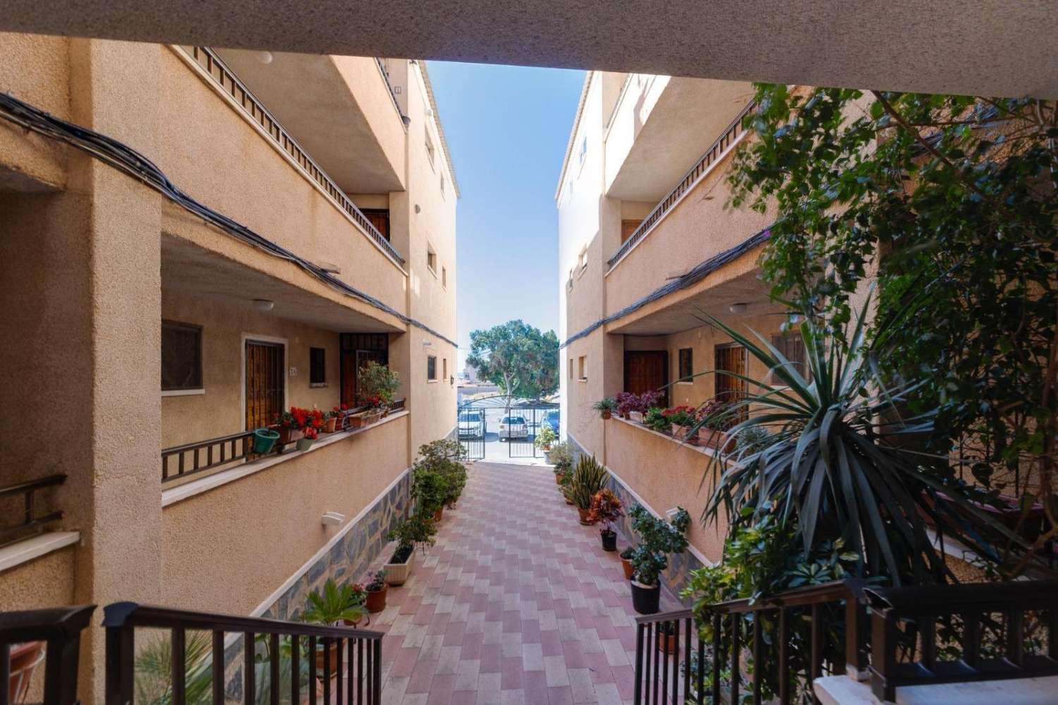 Studio Flat for sale in La Mata (Torrevieja)